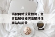 揭秘网站流量检测,全方位解析如何准确评估网站访问量 揭秘网站流量检测,全方位解析如何准确评估网站访问量