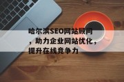 哈尔滨SEO网站顾问,助力企业网站优化,提升在线竞争力 哈尔滨SEO网站顾问,助力企业网站优化,提升在线竞争力