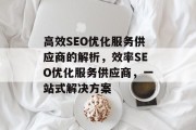 高效SEO优化服务供应商的解析，效率SEO优化服务供应商，一站式解决方案