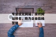 专业优化网站，提升网站排名，助力企业在线营销