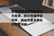数据流量浪费网站的五大危害,优化数据传输效率,网站流量浪费五大危害详解 数据流量浪费网站的五大危害,优化数据传输效率,网站流量浪费五大危害详解
