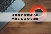 提升网站流量转化率,策略与实施方法详解 提升网站流量转化率,策略与实施方法详解