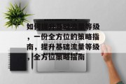 如何提升基础流量等级,一份全方位的策略指南,提升基础流量等级,全方位策略指南 如何提升基础流量等级,一份全方位的策略指南,提升基础流量等级,全方位策略指南