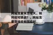 网站流量突然增大,如何应对挑战?,网站流量突增应如何应对 网站流量突然增大,如何应对挑战?,网站流量突增应如何应对