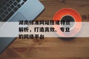 湖南标准网站搭建特点解析，打造高效、专业的网络平台