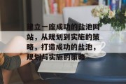 建立一座成功的盐池网站，从规划到实施的策略，打造成功的盐池，规划与实施的策略