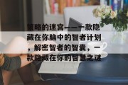 策略的迷宫——一款隐藏在你脑中的智者计划,解密智者的智囊,一款隐藏在你的智慧之谜 策略的迷宫——一款隐藏在你脑中的智者计划,解密智者的智囊,一款隐藏在你的智慧之谜