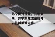 苏宁提升流量，共创未来，苏宁聚焦流量提升，共创美好未来