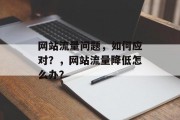 网站流量问题,如何应对?,网站流量降低怎么办? 网站流量问题,如何应对?,网站流量降低怎么办?
