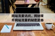 网站流量访问,揭秘提升网站流量的秘密武器 网站流量访问,揭秘提升网站流量的秘密武器