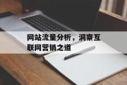 网站流量分析,洞察互联网营销之道 网站流量分析,洞察互联网营销之道