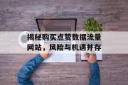 揭秘购买点赞数据流量网站,风险与机遇并存 揭秘购买点赞数据流量网站,风险与机遇并存