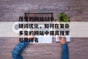 茂繁的网站SEO，关键词优化，如何在复杂多变的网站中提高搜索引擎排名