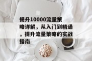提升10000流量策略详解,从入门到精通,提升流量策略的实战指南 提升10000流量策略详解,从入门到精通,提升流量策略的实战指南