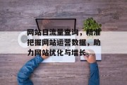 网站日流量查询，精准把握网站运营数据，助力网站优化与增长
