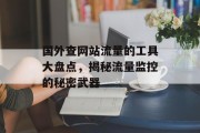 国外查网站流量的工具大盘点,揭秘流量监控的秘密武器 国外查网站流量的工具大盘点,揭秘流量监控的秘密武器