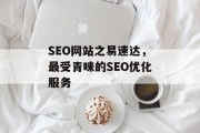 SEO网站之易速达,最受青睐的SEO优化服务 SEO网站之易速达,最受青睐的SEO优化服务