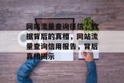 网站流量查询征信,数据背后的真相,网站流量查询信用报告,背后真相揭示 网站流量查询征信,数据背后的真相,网站流量查询信用报告,背后真相揭示