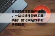 高效网站项目插件指南，一站式插件管理工具揭秘！优化网站效率的快捷指南