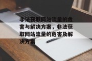 非法获取网站流量的危害与解决方案,非法获取网站流量的危害及解决方案 非法获取网站流量的危害与解决方案,非法获取网站流量的危害及解决方案