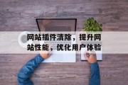网站插件清除，提升网站性能，优化用户体验