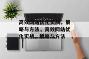 高效网站优化实战，策略与方法，高效网站优化实战，策略与方法