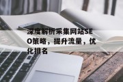 深度解析采集网站SEO策略，提升流量，优化排名
