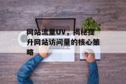 网站流量UV，揭秘提升网站访问量的核心策略