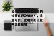 如何有效地查看自己的流量来源及策略？，流量分析，查看你的流量来源和策略