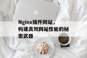 Nginx插件网站,构建高效网站性能的秘密武器 Nginx插件网站,构建高效网站性能的秘密武器