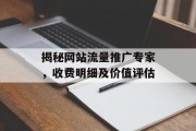 揭秘网站流量推广专家，收费明细及价值评估