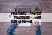 网站流量统计分析问题,网站流量统计,关键指标与对策分析 网站流量统计分析问题,网站流量统计,关键指标与对策分析