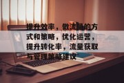 提升效率,做流量的方式和策略,优化运营,提升转化率,流量获取与管理策略建议 提升效率,做流量的方式和策略,优化运营,提升转化率,流量获取与管理策略建议