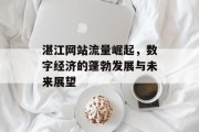 湛江网站流量崛起,数字经济的蓬勃发展与未来展望 湛江网站流量崛起,数字经济的蓬勃发展与未来展望