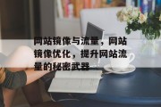 网站镜像与流量，网站镜像优化，提升网站流量的秘密武器