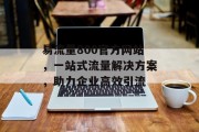 易流量800官方网站，一站式流量解决方案，助力企业高效引流