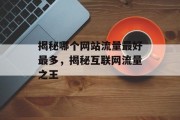 揭秘哪个网站流量最好最多，揭秘互联网流量之王