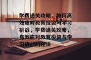 学费通关攻略，如何高效应对教育投资与学习挑战，学费通关攻略，高效应对教育投资与学习挑战的秘诀