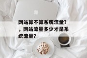 网站算不算系统流量?,网站流量多少才是系统流量? 网站算不算系统流量?,网站流量多少才是系统流量?