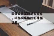国外查流量网站大盘点,揭秘网络监控的神秘世界 国外查流量网站大盘点,揭秘网络监控的神秘世界