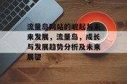 流量岛网站的崛起与未来发展,流量岛,成长与发展趋势分析及未来展望 流量岛网站的崛起与未来发展,流量岛,成长与发展趋势分析及未来展望