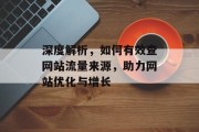 深度解析，如何有效查网站流量来源，助力网站优化与增长