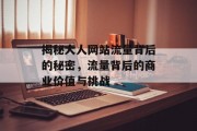 揭秘大人网站流量背后的秘密,流量背后的商业价值与挑战 揭秘大人网站流量背后的秘密,流量背后的商业价值与挑战