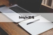 bingle游戏
