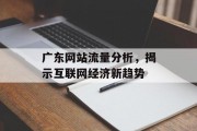 广东网站流量分析,揭示互联网经济新趋势 广东网站流量分析,揭示互联网经济新趋势