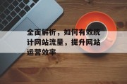 全面解析,如何有效统计网站流量,提升网站运营效率 全面解析,如何有效统计网站流量,提升网站运营效率