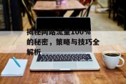揭秘网站流量100%的秘密,策略与技巧全解析 揭秘网站流量100%的秘密,策略与技巧全解析