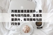 苏醒直播流量提升，策略与技巧指南，直播流量飙升，有效策略与技巧分享