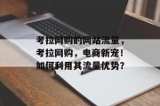 考拉网购的网站流量,考拉网购,电商新宠!如何利用其流量优势? 考拉网购的网站流量,考拉网购,电商新宠!如何利用其流量优势?