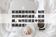 捉迷藏游戏攻略，如何找到隐藏的通道，捉迷藏，如何在迷宫中找到隐藏通道?